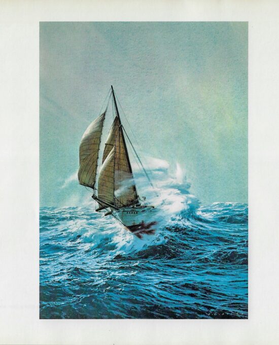Vintage book page print “Desperate Voyage” Carl G. Evers circa 1972