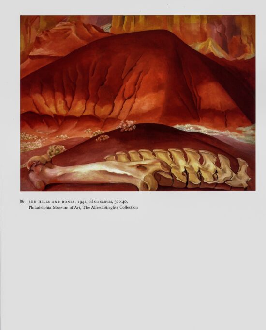 Georgia O’Keeffe vintage print 1941/34 “Red Hills and Bones / Small Purple Hills”