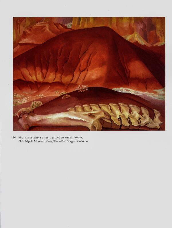 Georgia O'Keeffe vintage print 1941/34 "Red Hills and Bones / Small Purple Hills"