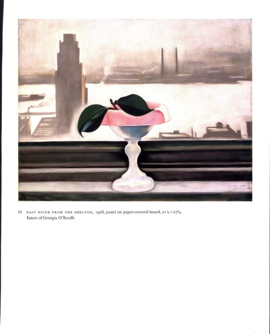 Georgia O’Keeffe vintage art book plate 1928/30 “East River From the Shelton / From a Shell”