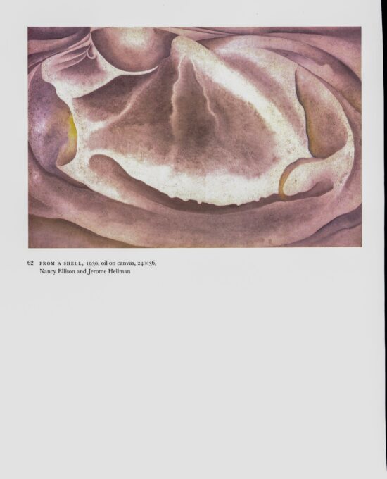 Georgia O’Keeffe vintage art book plate 1928/30 “East River From the Shelton / From a Shell”