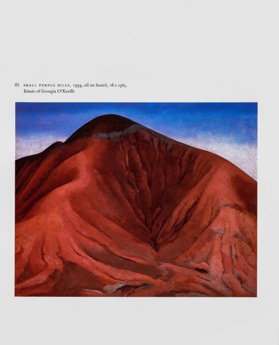 Georgia O’Keeffe vintage print 1941/34 “Red Hills and Bones / Small Purple Hills”