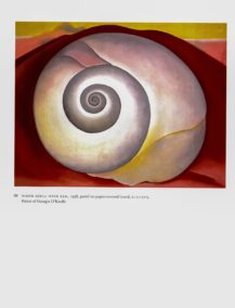 Georgia O'Keeffe vintage print 1938/35 "White Shell with Red / Hills - Lavender, Ghost Ranch, New Mexico II"