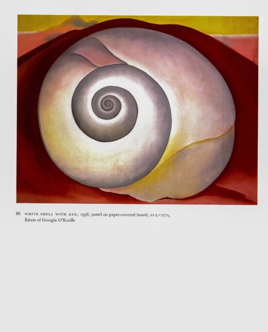 Georgia O’Keeffe vintage print 1938/35 “White Shell with Red / Hills – Lavender, Ghost Ranch, New Mexico II”