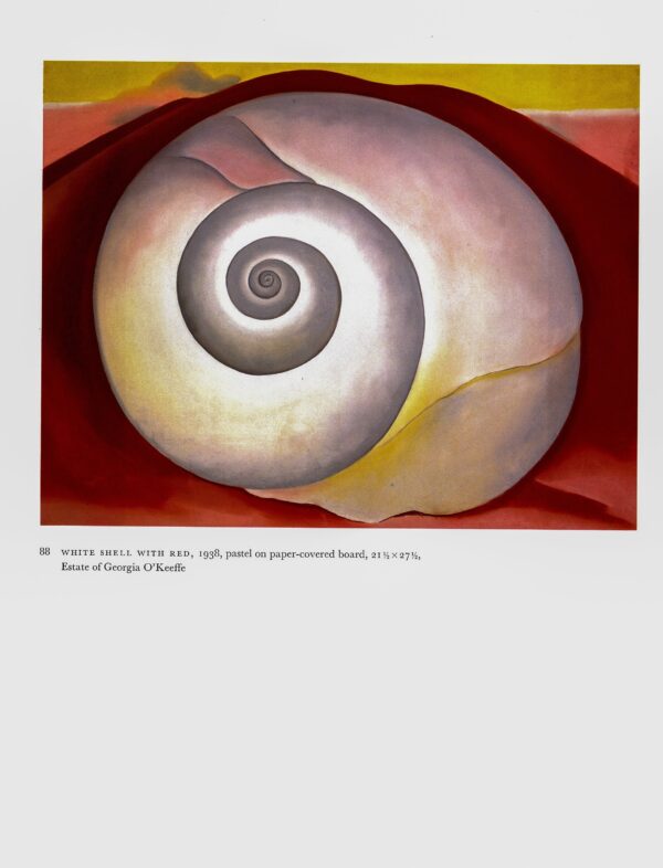 Georgia O'Keeffe vintage print 1938/35 "White Shell with Red / Hills - Lavender, Ghost Ranch, New Mexico II"