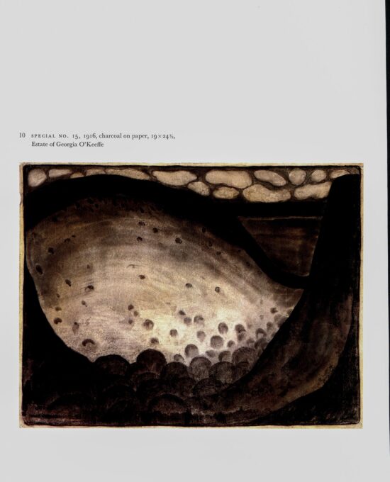 Georgia O’Keeffe vintage art book plate 1916″Special No. 15 / Blue Lines X”