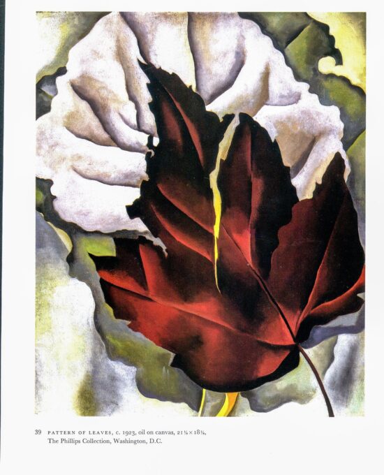 Georgia O’Keeffe vintage art book plate 1923/5 “Pattern of Leaves” / “Abstraction No. 77 (Tulip)”