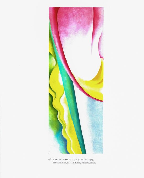 Georgia O’Keeffe vintage art book plate 1923/5 “Pattern of Leaves” / “Abstraction No. 77 (Tulip)”