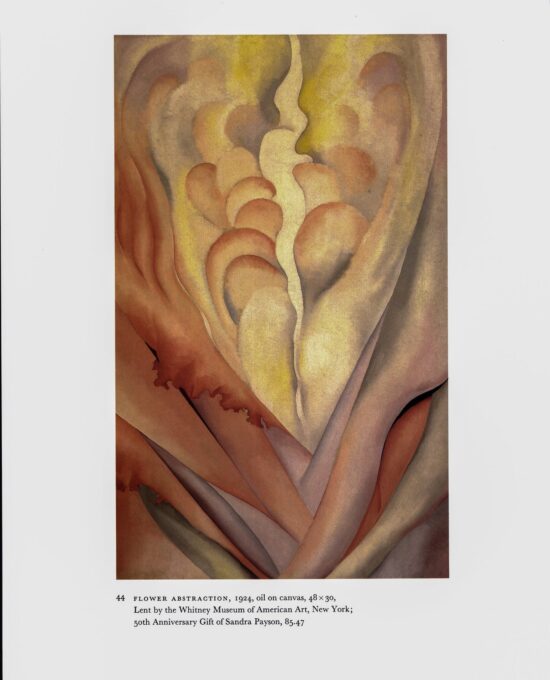 Georgia O’Keeffe Vintage art book page “Flower Abstraction” w/ “Lake George” on the reverse