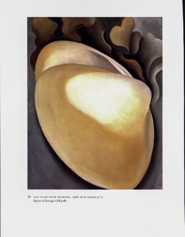 Georgia O'Keeffe vintage art plate 1926/7 "Tan Clam with Seaweed / Seaweed"