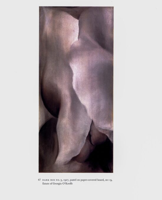 Georgia O’Keeffe vintage art book plate 1926/7 “Dark Iris No. 3 / The Dark Iris No. II” For the studio