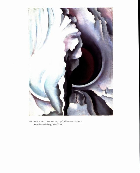 Georgia O’Keeffe vintage art book plate 1926/7 “Dark Iris No. 3 / The Dark Iris No. II” For the studio