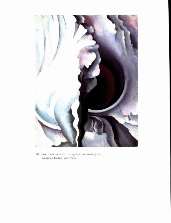 Georgia O'Keeffe vintage art book plate 1926/7 "Dark Iris No. 3 / The Dark Iris No. II" For the studio - Image 2