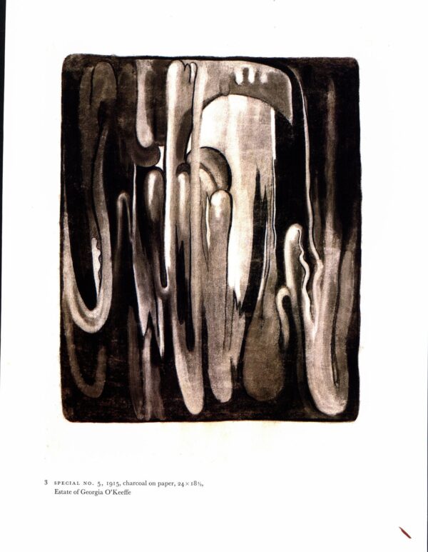 Georgia O'Keeffe vintage art book plate 1915 "Special No. 13 / Special No. 5" - Image 2