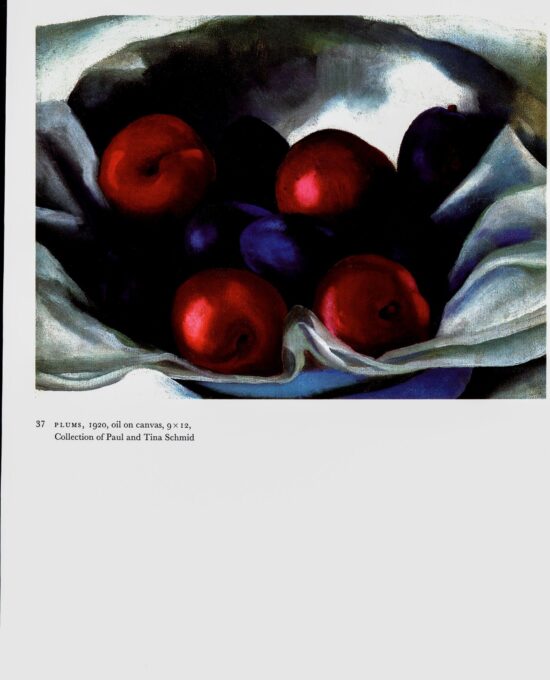 Georgia O’Keeffe vintage art book plate 1920/1 “Plums / Apple Family III”