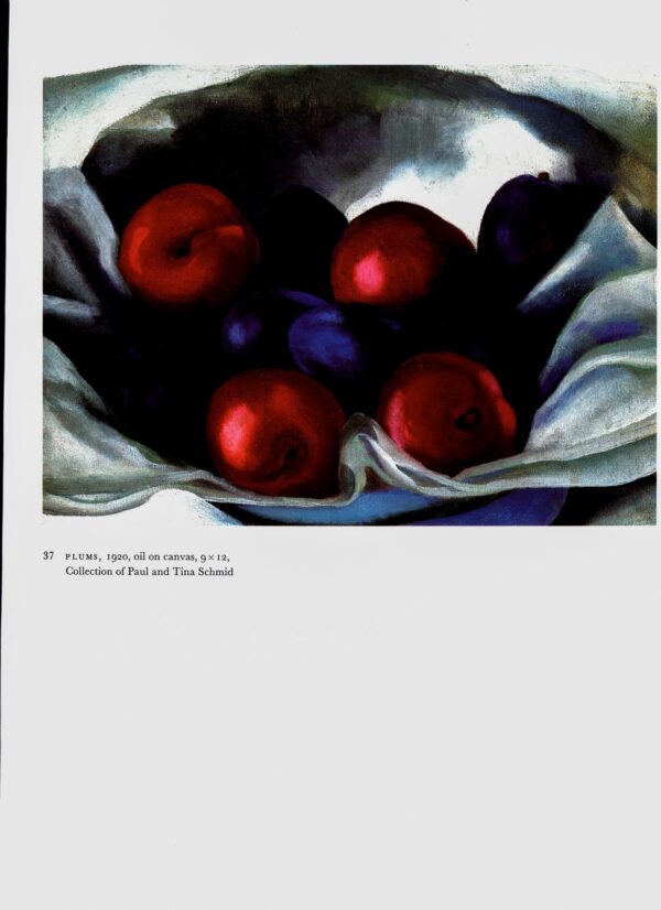 Georgia O'Keeffe vintage art book plate 1920/1 "Plums / Apple Family III"