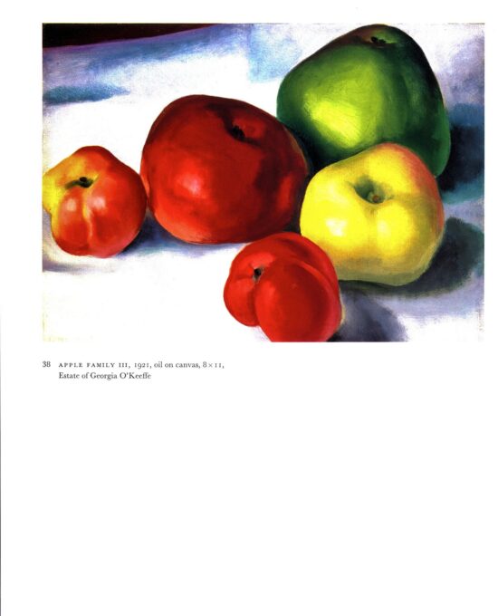 Georgia O’Keeffe vintage art book plate 1920/1 “Plums / Apple Family III”