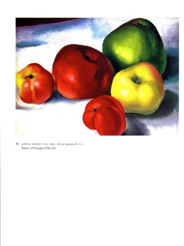 Georgia O'Keeffe vintage art book plate 1920/1 "Plums / Apple Family III" - Image 2