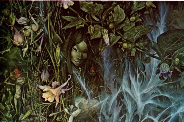 Brian Froud "Twilight" / "Return of the Elfin King" Vintage art book page 1976 FREE SHIPPING - Image 5