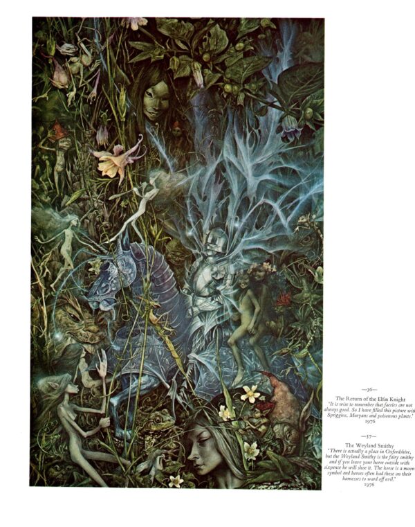 Brian Froud "Twilight" / "Return of the Elfin King" Vintage art book page 1976 FREE SHIPPING - Image 6