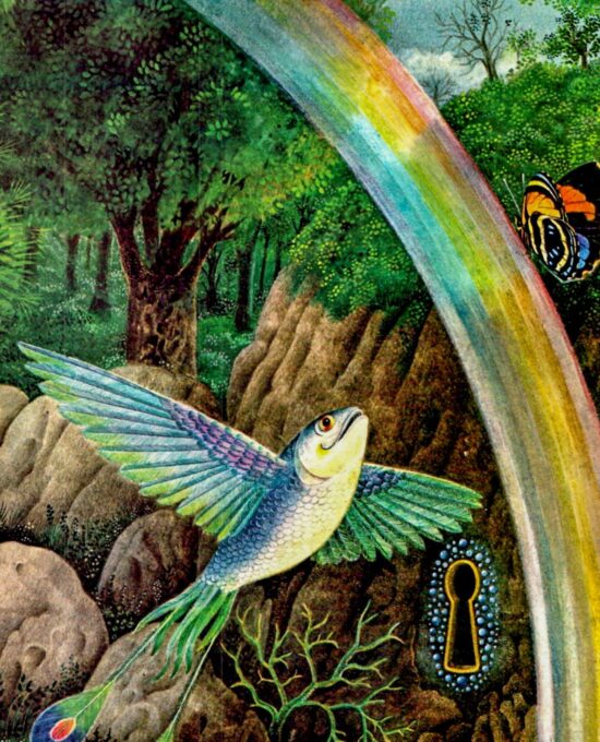 Gervasio Gallardo Vintage art book page Cover art for George MacDonald’s “Evenor” paperback 1972 FREE SHIPPING