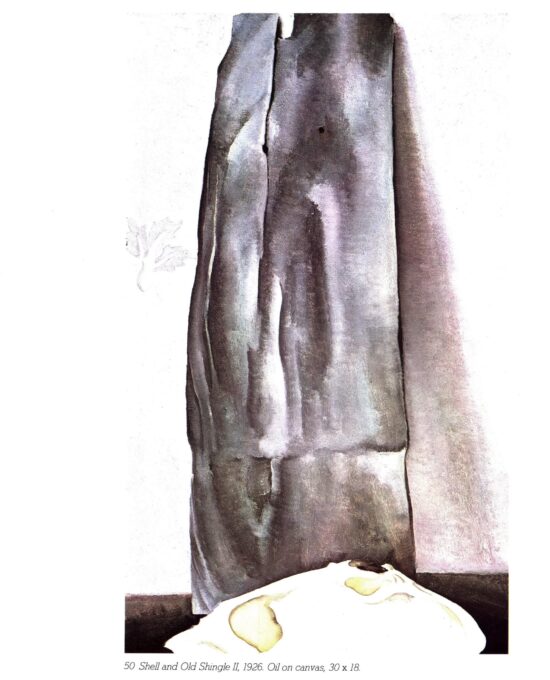 Georgia O’Keeffe print 1926 “Shell and Old Shingle II” Original vintage color book page