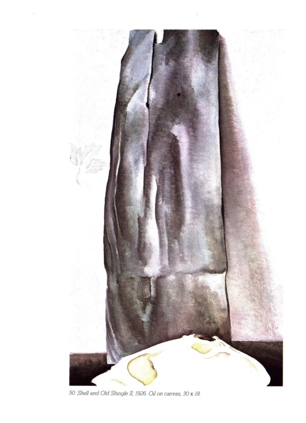 Georgia O'Keeffe print 1926 "Shell and Old Shingle II" Original vintage color book page