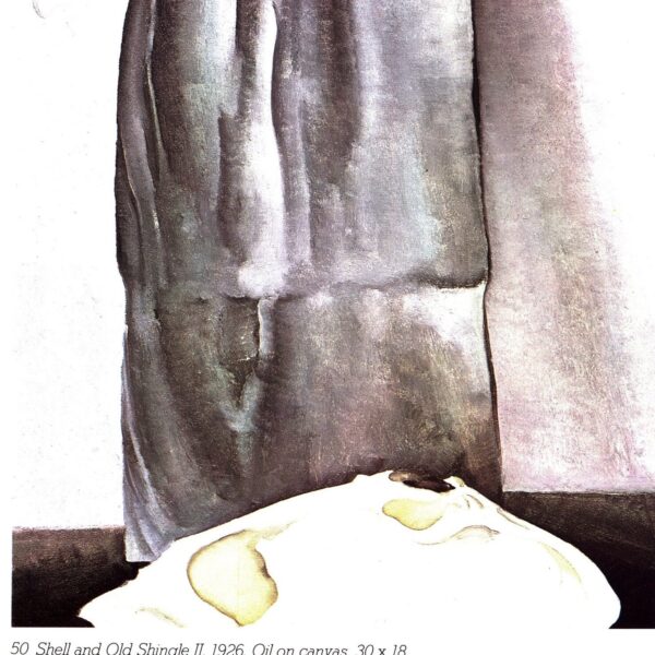 Georgia O'Keeffe print 1926 "Shell and Old Shingle II" Original vintage color book page - Image 2
