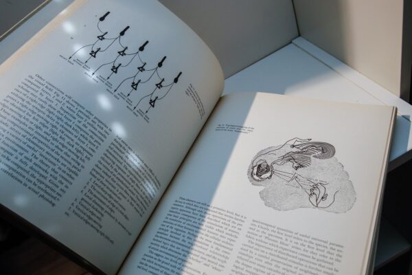 Sign Image Symbol [1966] First edition Anthology of 20 essays on the history of human perception of symbols and images - Image 10