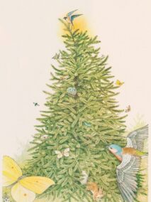 Rejoice... Hans Christian Andersen Nancy Ekholm Burkert Vintage art book page