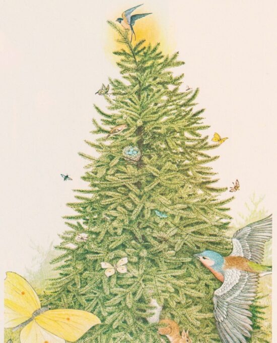 Rejoice… Hans Christian Andersen Nancy Ekholm Burkert Vintage art book page