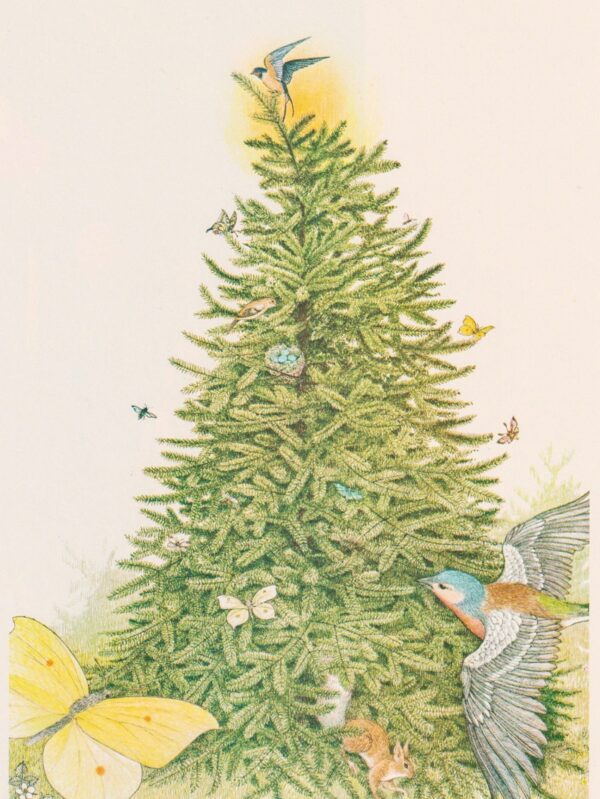 Rejoice... Hans Christian Andersen Nancy Ekholm Burkert Vintage art book page