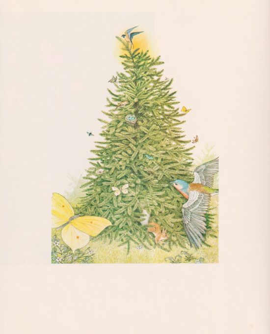 Rejoice… Hans Christian Andersen Nancy Ekholm Burkert Vintage art book page