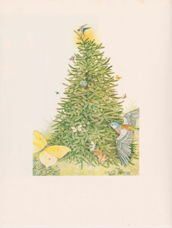 Rejoice... Hans Christian Andersen Nancy Ekholm Burkert Vintage art book page - Image 2