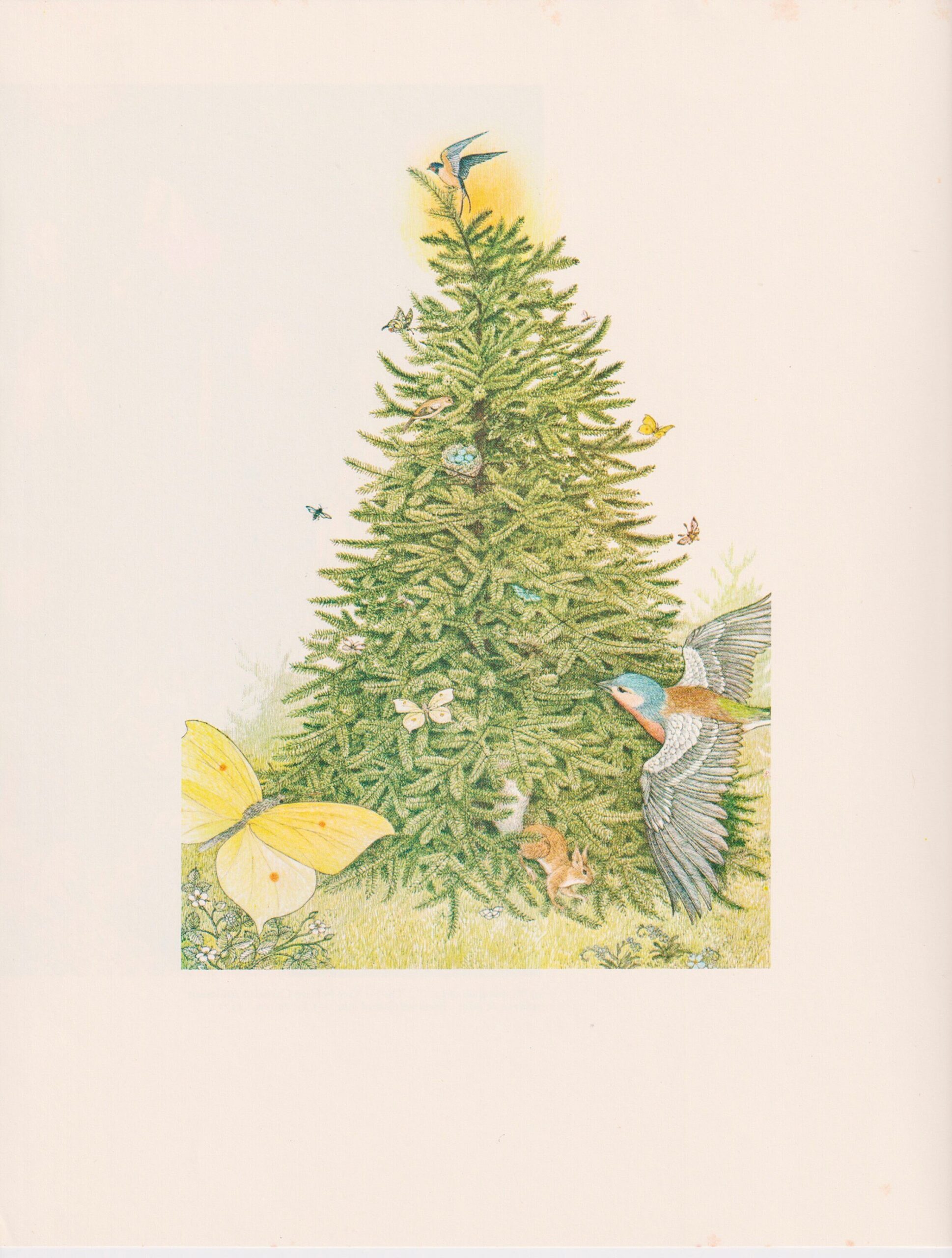 Rejoice... Hans Christian Andersen Nancy Ekholm Burkert Vintage art book page - Image 2