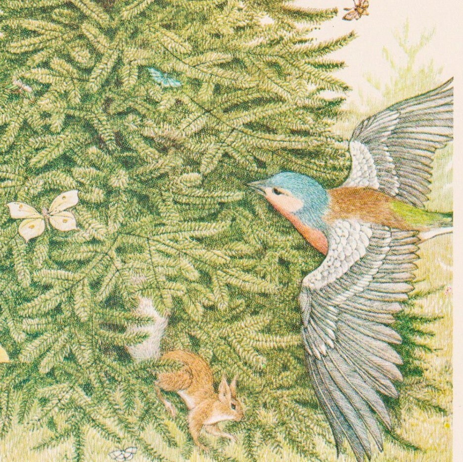 Rejoice... Hans Christian Andersen Nancy Ekholm Burkert Vintage art book page - Image 3