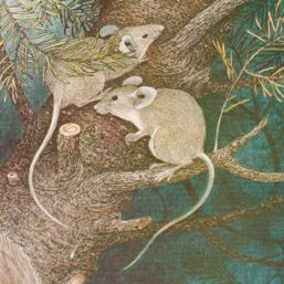 and they listened... Hans Christian Andersen Nancy Ekholm Burkert Vintage art book page Children's book art FREE SHIPPING