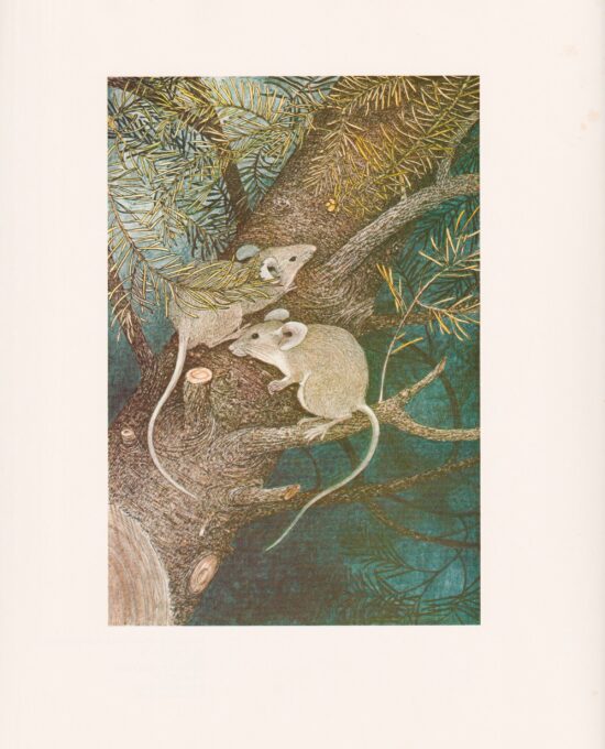 and they listened… Hans Christian Andersen Nancy Ekholm Burkert Vintage art book page Children’s book art FREE SHIPPING