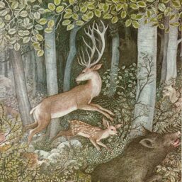 Snow White ... alone in the great forest [1972] Nancy Ekholm Burkert Vintage art book page