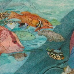 All the fish in the world swam round... Scroobious Pip Nancy Ekholm Burkert Vintage art book page Children's book art FREE SHIPPING