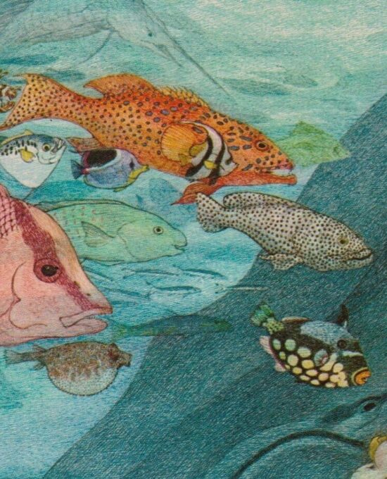 All the fish in the world swam round… Scroobious Pip Nancy Ekholm Burkert Vintage art book page Children’s book art FREE SHIPPING