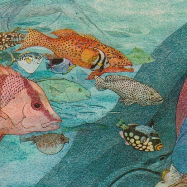 All the fish in the world swam round... Scroobious Pip Nancy Ekholm Burkert Vintage art book page Children's book art FREE SHIPPING