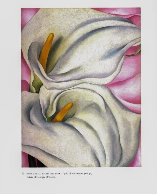 Georgia O’Keeffe vintage art book plate 1927/8 “Two Calla Lilies on Pink / Red Poppy” For the kitchen