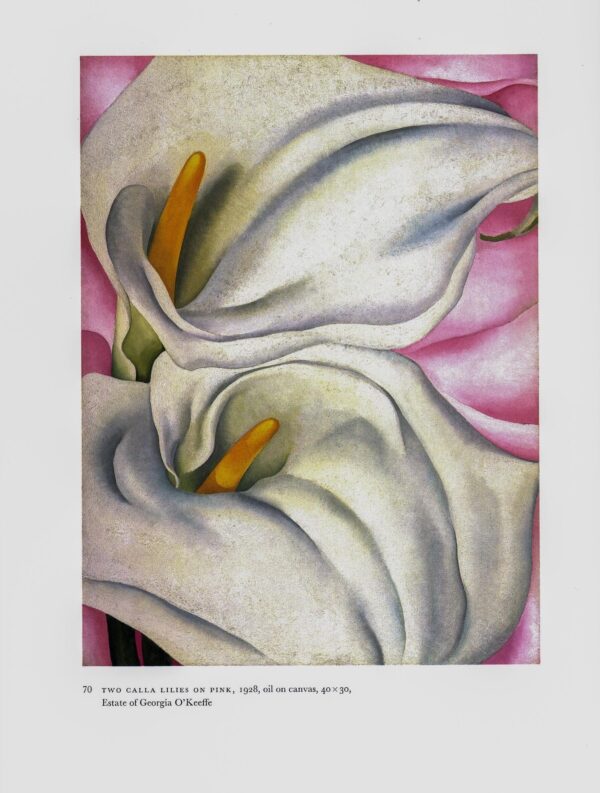 Georgia O'Keeffe vintage art book plate 1927/8 "Two Calla Lilies on Pink / Red Poppy" For the kitchen
