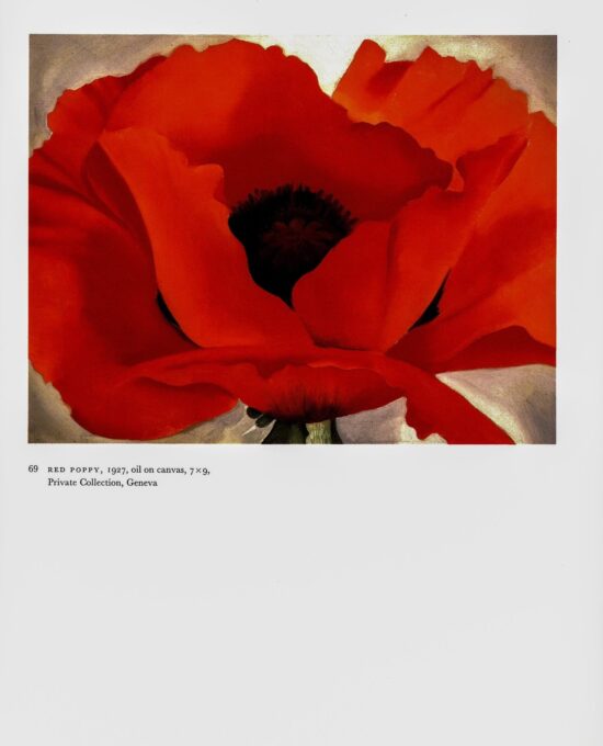 Georgia O’Keeffe vintage art book plate 1927/8 “Two Calla Lilies on Pink / Red Poppy” For the kitchen