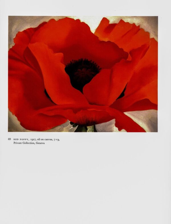 Georgia O'Keeffe vintage art book plate 1927/8 "Two Calla Lilies on Pink / Red Poppy" For the kitchen - Image 2