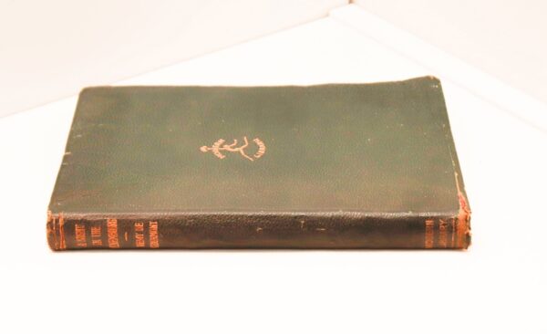 Vintage Modern Library Faux leather dressed book "A Night in the Luxembourg" 1926 First edition Remy de Gourmont - Image 3