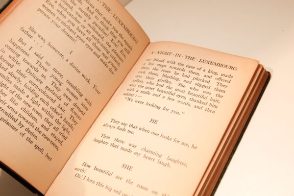 Vintage Modern Library Faux leather dressed book "A Night in the Luxembourg" 1926 First edition Remy de Gourmont - Image 10