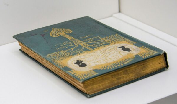 The Old Gentleman of the Black Stock 1901 First edition thus Thomas Nelson Page Decorated pretty book - Image 5