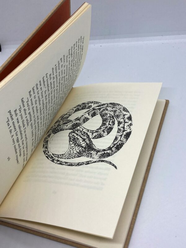 L.M. Boston "The Fossil Snake" American First edition cloth wrapped children's hardcover story book 1976 Peter Boston illustrations - Image 8